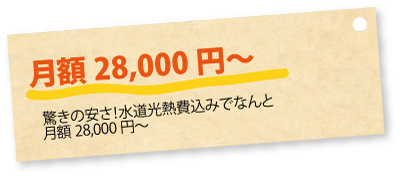 健康食品 菊芋EX（サプリメント・錠剤）62g(200mg×310粒)×10袋セット